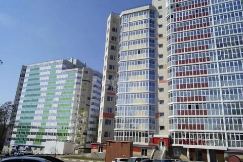 Белгород горького