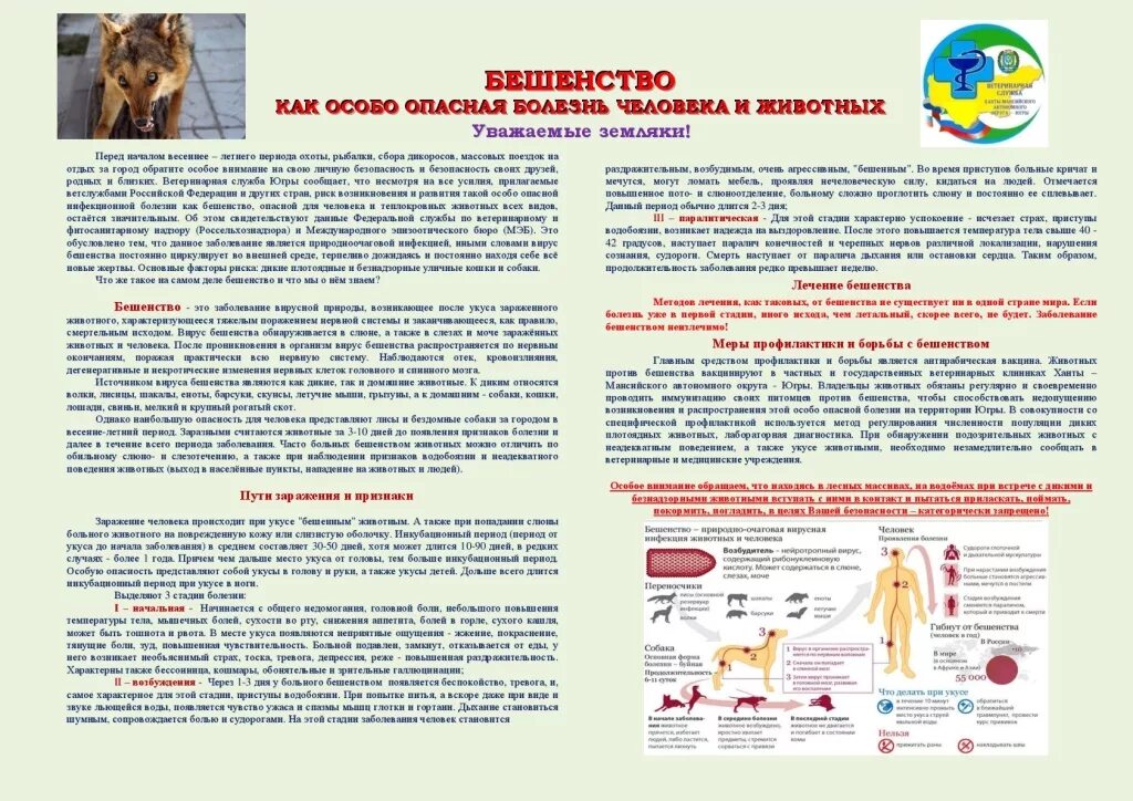 Опасные болезни животных. Бешенство памятка. памятка бешенство животных. профилактика бешенства у людей. симптомы бешенства у человека.