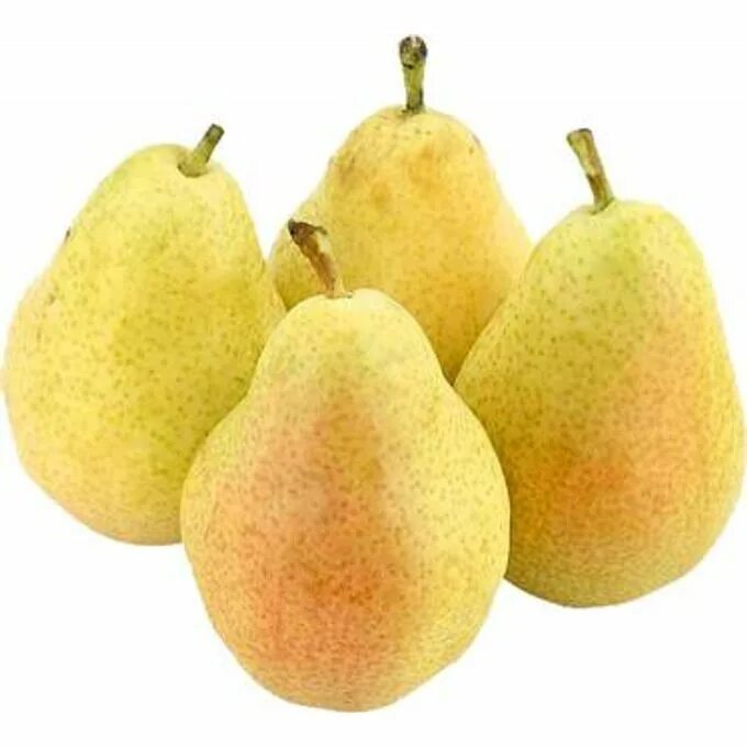 Груш товары. Груши вермонт. Груши пакхам вильямс. Груши анжу. Груша вермонт фото.