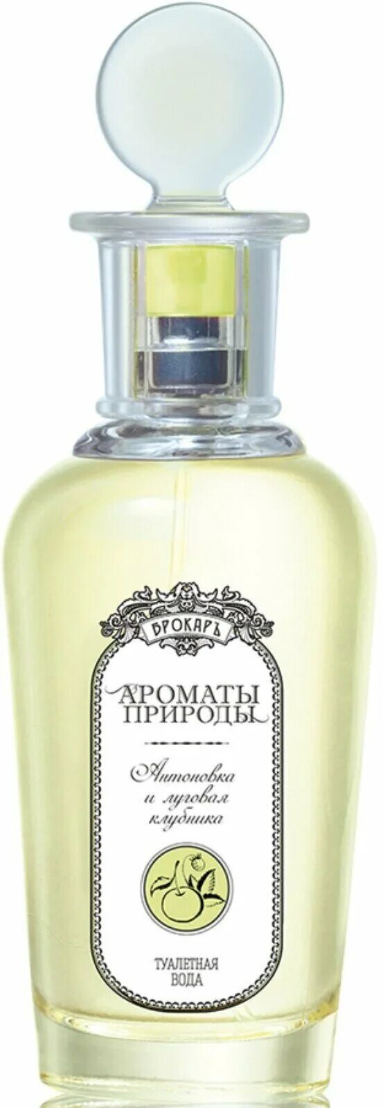 духи с ароматом мяты. Jo malone white jasmine and mint. духи с ароматом мяты. парфюм с ароматом мяты. Guerlain aqua allegoria.