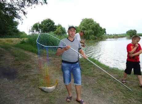 погода в серпухове. краснодарский край павловский район хутор пушкина. погода на 2 недели в павловском посаде. площадь революции павловский посад. плотина павловск алтайский край.