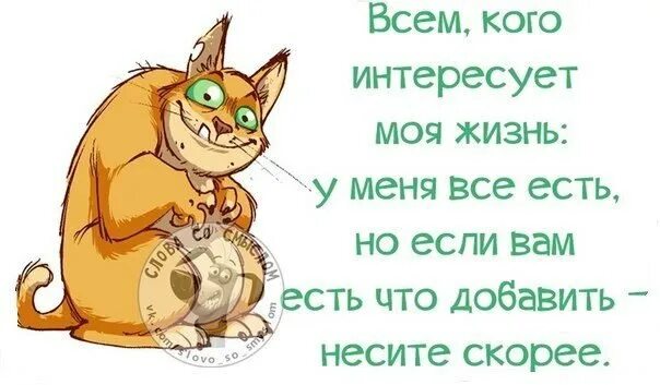 У меня не было жизни