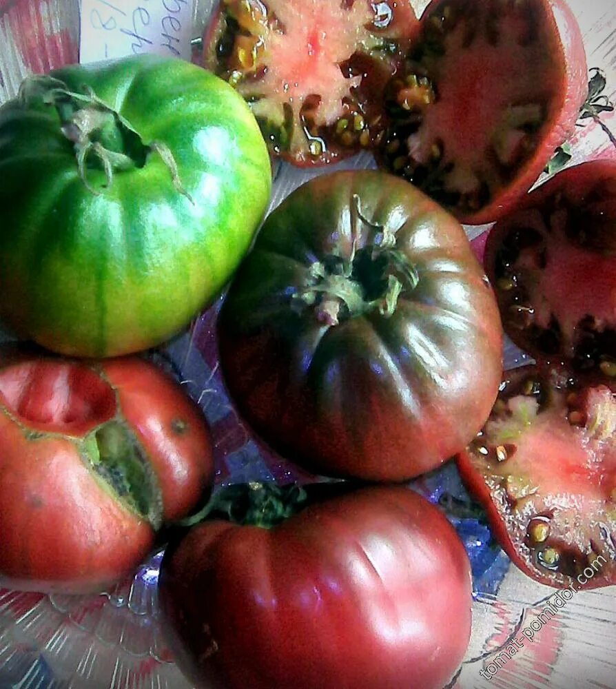 фиолетовые помидоры сорта. томат с пурпурным стеблем. в сша стали выращивать фиолетовые томаты. томат лавандовое озеро. томат сиреневое озеро.