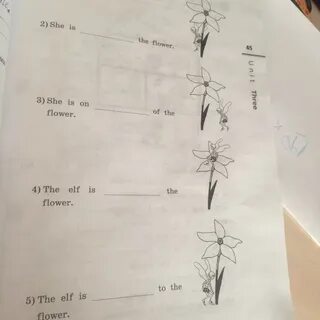 Закончи предложения напиши