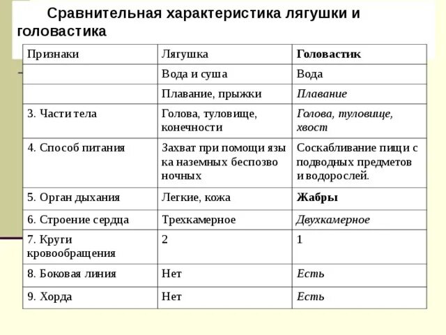 Таблица земноводных 8 класс. Сравнительная характеристика головастика и взрослой лягушки таблица. Признаки лягушки и головастика таблица. Сравнение лягушки и головастика 7 класс. Общая характеристика класса земноводные признак описание таблица.