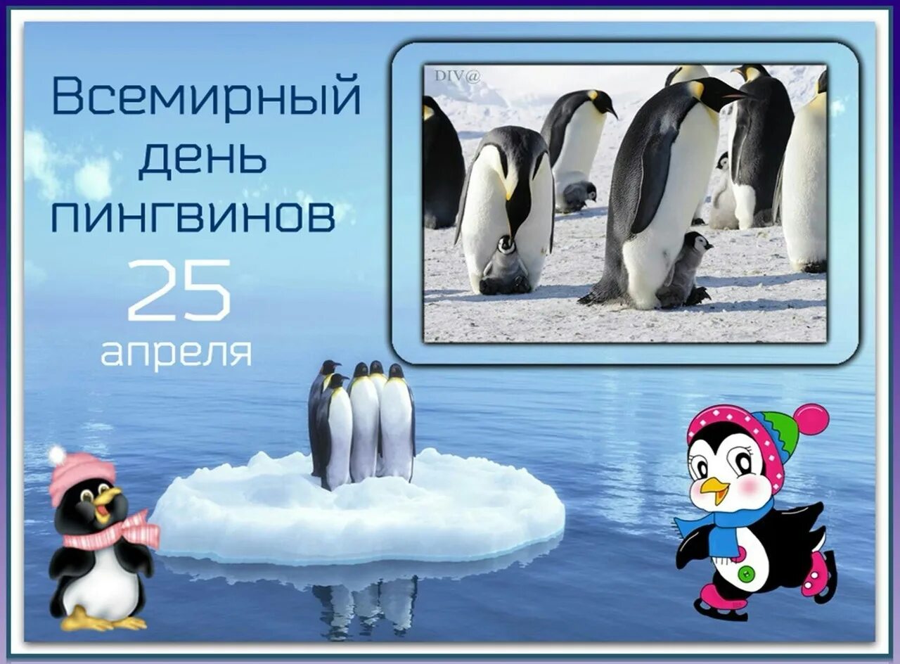 Какой сегодня праздник 20 апреля. Всемирный день пингвинов 25 апреля. Всемирныйсдень пингвинов. Всемныйдень пингвинов. Всемирный день пингвинов для детей.