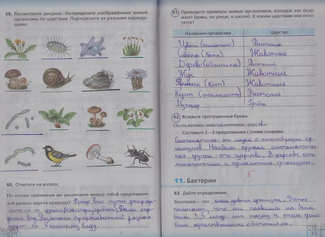 Рабочая тетрадь 5 класс стр 59. Биология Сонин 5 класс рабочая тетрадь задания. Биология 5 класс рабочая тетрадь стр 32. Биология рабочая тетрадь 5 класс Сонин страница 32. Биология 5 класс рабочая тетрадь стр 23 Сонин.