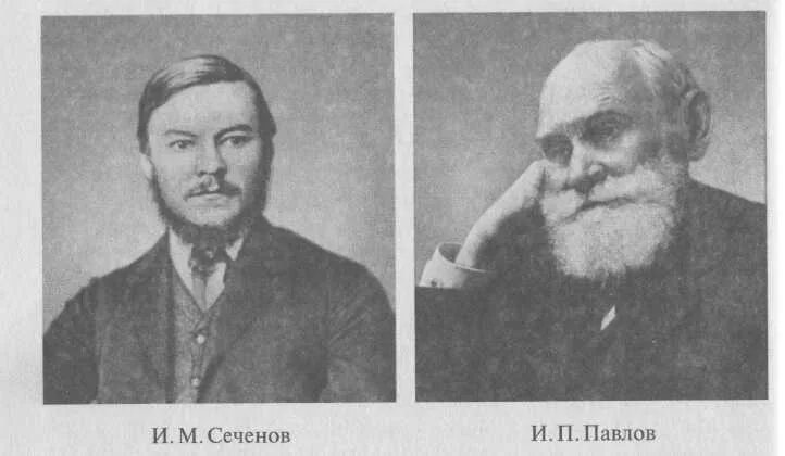 Сеченов учение о рефлексах. И. м.сеченов (1829 – 1905 гг.).