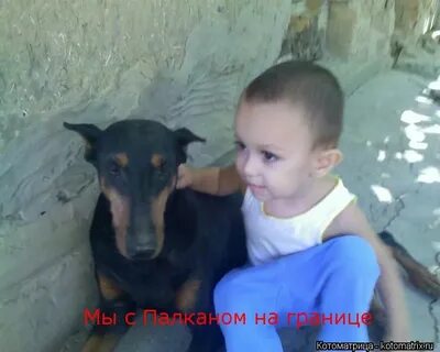 Эх шарик я как и ты