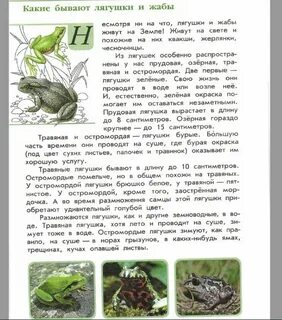 Зеленые страницы 4 класс окружающий мир
