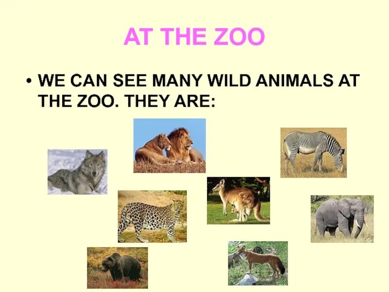 Animals 2 класс презентация. Презентация at the Zoo. Открытый урок на тему animals. Презентация на английском зоопарк.