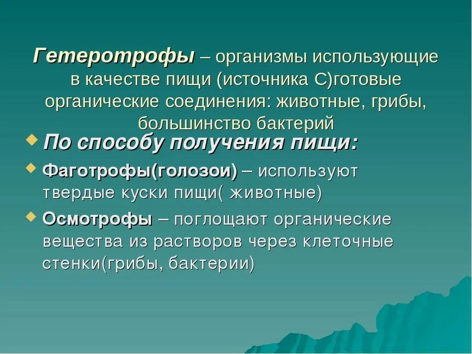 Признаки гетеротрофного питания. Гетеротрофы. Гетеротрофные организмы. Гетеротрофные организмы подразделяются на .... Гетеротрофы это.