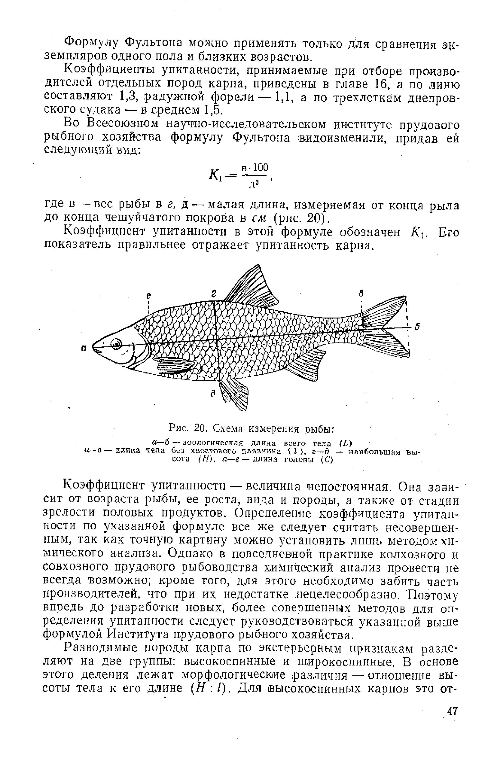 Как мерить рыбу