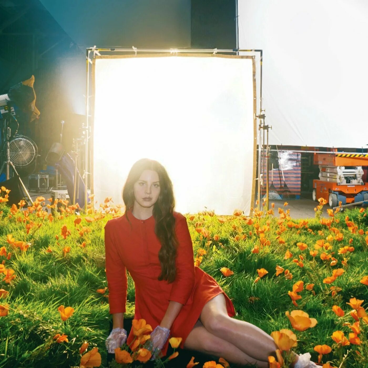 Lust for life lana. Lana del Rey Lust for Life album.