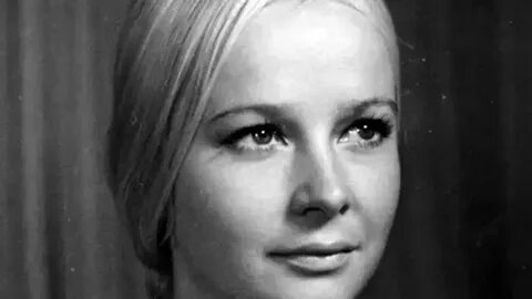 Жаңа секс видео