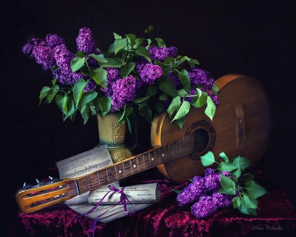 Одинокий гитарист перебор на гитаре. Группа с сиренью. Сирень ночью. Гитара и сирень. Сирень обыкновенная кинди роуз.