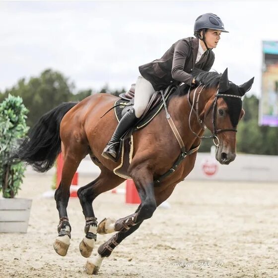 КСК Конаковские конюшни. Конаковские конюшни соревнования. КСК Ekaterina stables.