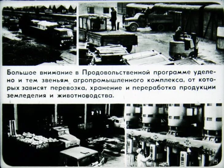 Продовольственная программа принята в каком году. Продовольственная программа 1982. продовольственная программа брежнева.