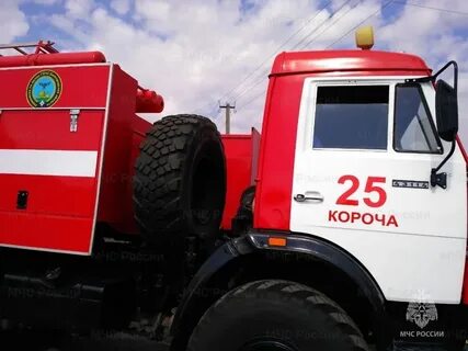 Шебекино короча