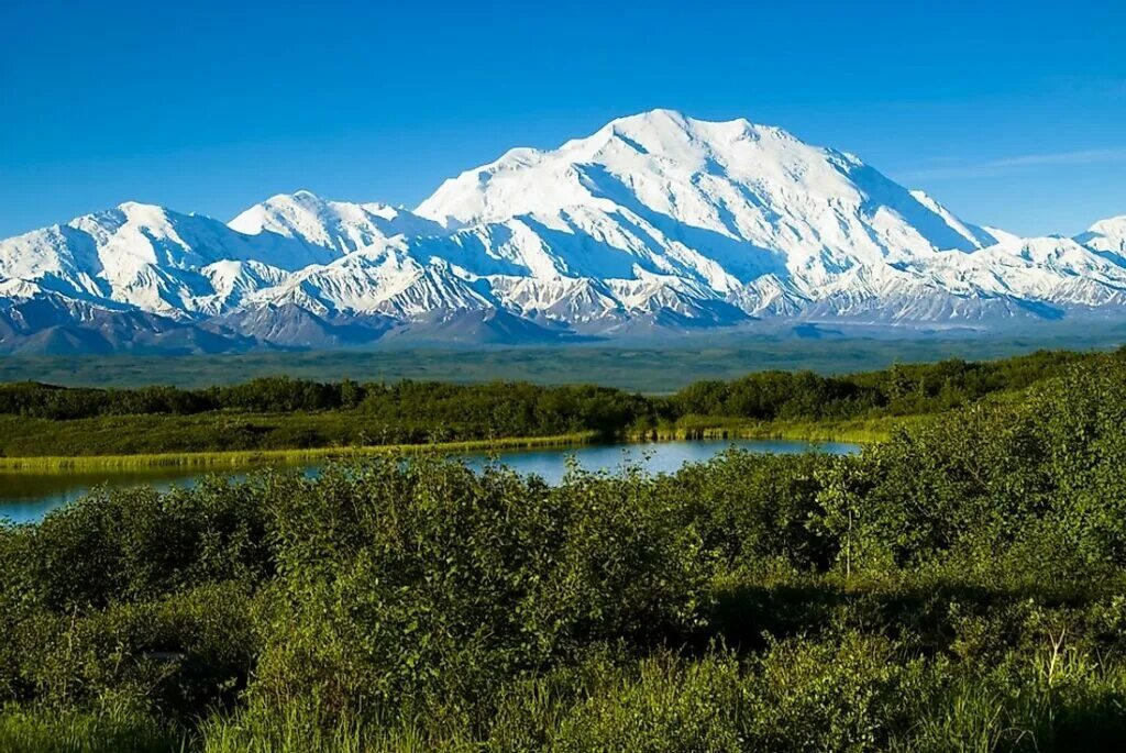 Северная Америка-гора Мак-Кинли, Аляска. Гора Денали (Мак-Кинли). Гора Маккинли Аляска. Гора Мак Кинли Северная Америка.