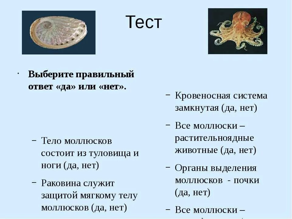 Тесты ракообразные 7 класс