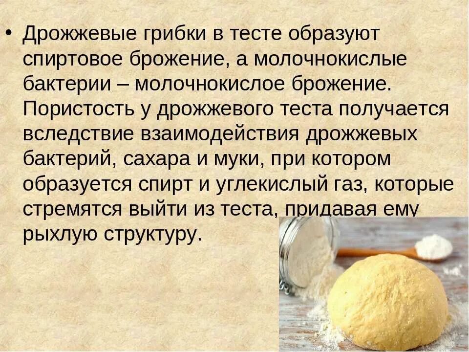 Поднимается ли дрожжевое тесто. Дрожжевое тесто презентация. Приготовление дрожжевого теста. Презентация на тему дрожжевое тесто. Процесс брожения дрожжевого теста.