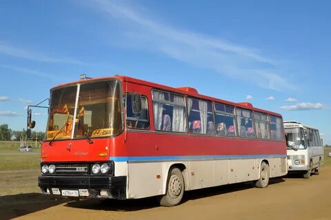 Сах автобус