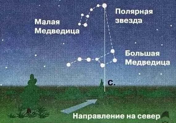 Ориентирование по полярной звезде обж 8 класс. Ориентирование по звездам полярная звезда. Ориентирование по звездам большая медведица. Как определить стороны горизонта по звездам. Ориентирование по солнцу по полярной звезде.
