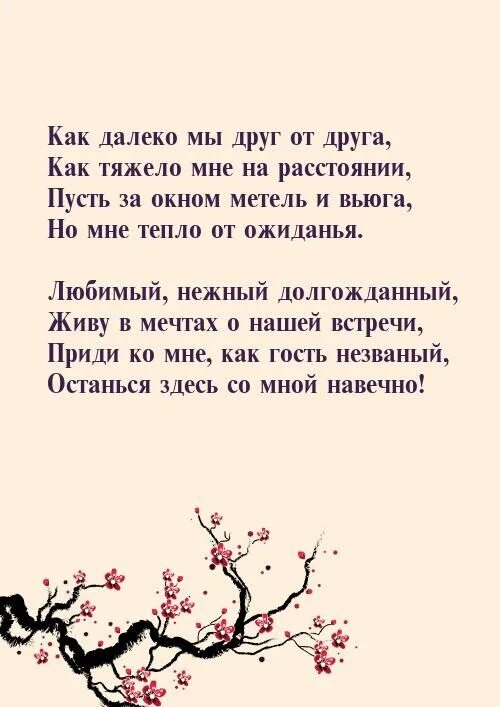 Мишка тедди. Милые открытки с днем рождения. Милые поздравления на новый год. Стильные новогодние иллюстрации. Доброе утро, медвежонок!.