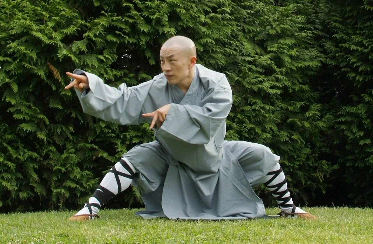 Новый мастер кунг фу. Кунг-фу / Kung Fu. Монах Шаолинь. Монах Шао Линь кланяется. Шаолиньское кунг фу.