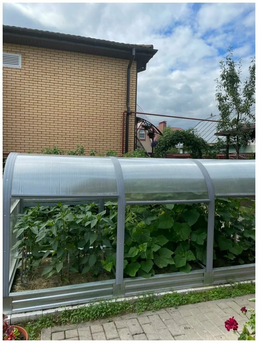 Теплица металлическая. Прогресс мини. Парник агросфера-хлебница 2м. Парник прогресс-мини 1. Парник прогресс мини с раздвижными боками.