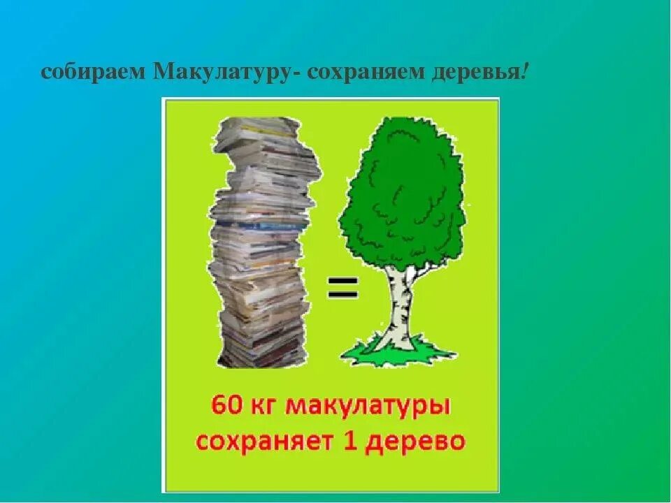 Собирая малулатуру бережем дерево. Собери макулатуру сохрани дерево. Сбережем деревья. Соберем макулатуру сохраним деревья.