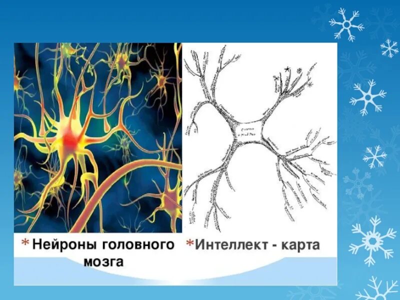 Нейроны головного мозга. Нервные клетки головного мозга. Нейронные связи в мозге. Как выглядит Нейрон.