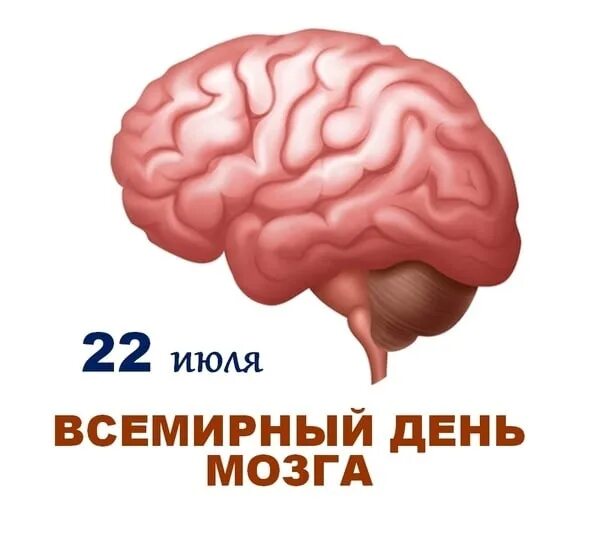 Когда день мозгов. 22 Июля Всемирный день мозга. Поздравление с днем мозга. День мозга поздравляю. День мозга картинки.