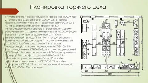 Главное требование к помещению столовой и кухни