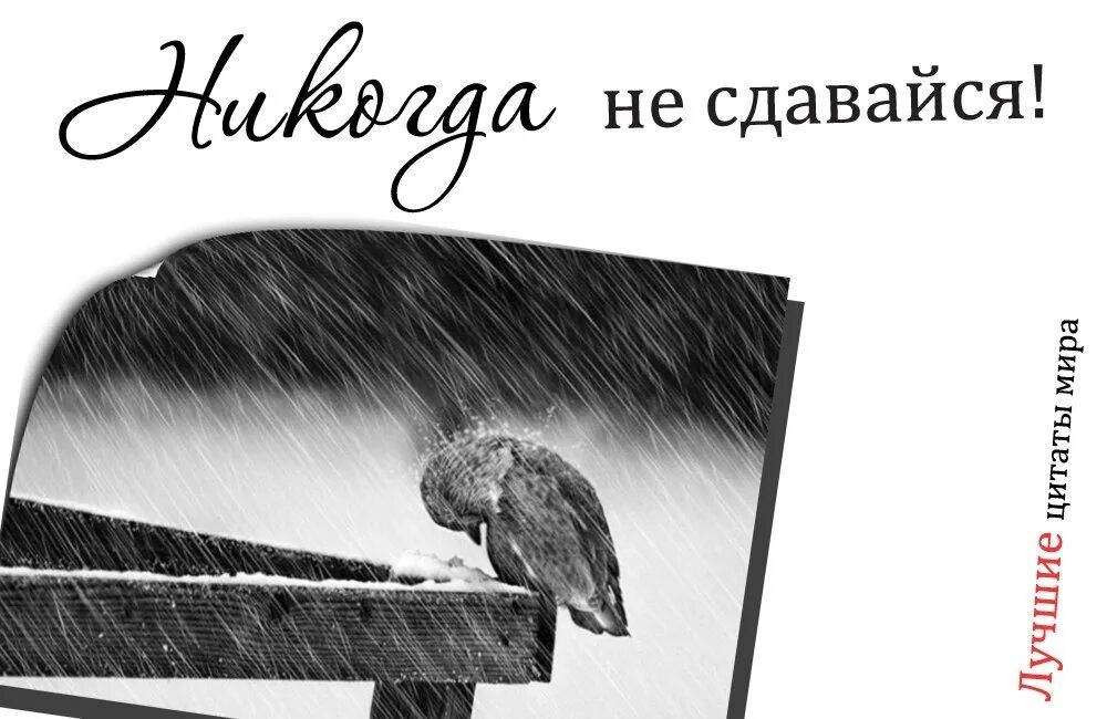 Сдайся мне иванова читать. Не сдавайся картинки. Не сдавайся рисунок. Открытка не сдавайся. Иллюстрации со смыслом никогда не сдавайся.