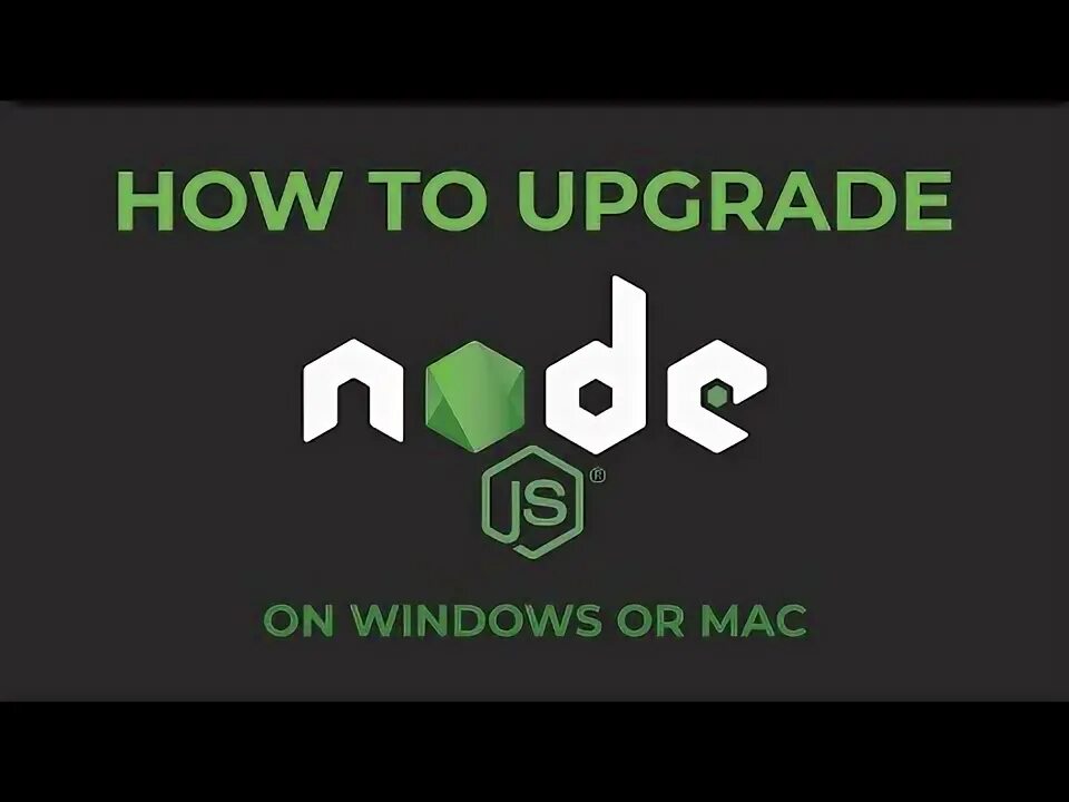 Npm upgrade