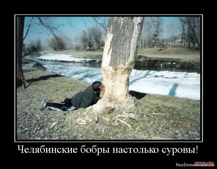 Нужно быть суровым