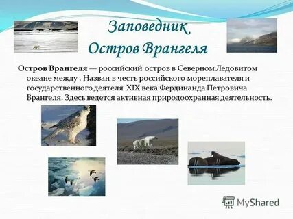 Запиши названия заповедников расположенных в зоне пустынь