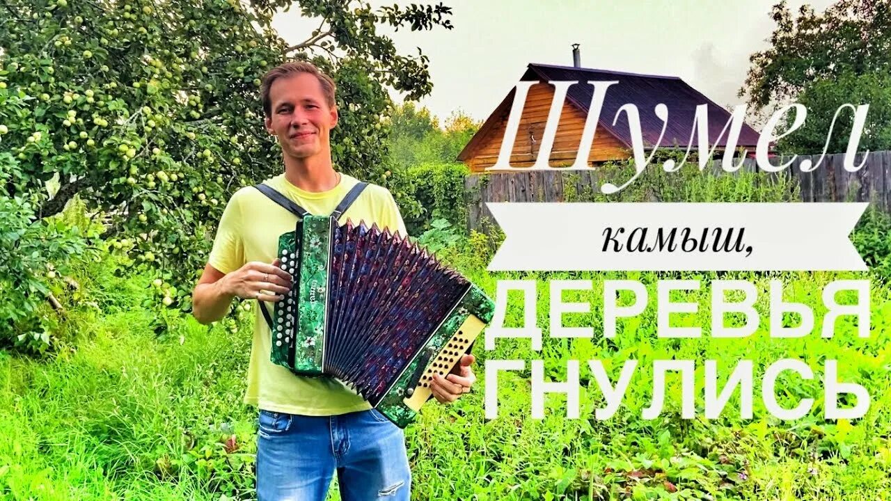 Шумел камыш деревья гнулись. Шумел камыш деревья гнулись песня. Песня шумел камыш деревья. Шумел камышподгарионь.