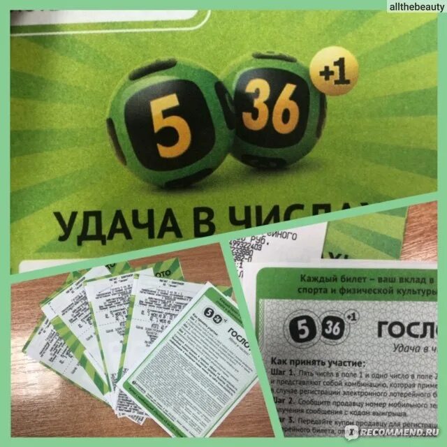 Гослото 5 из 36. Билет 5 из 36. Гослото 5 из 36 билет. Лотерея 5 из 36.