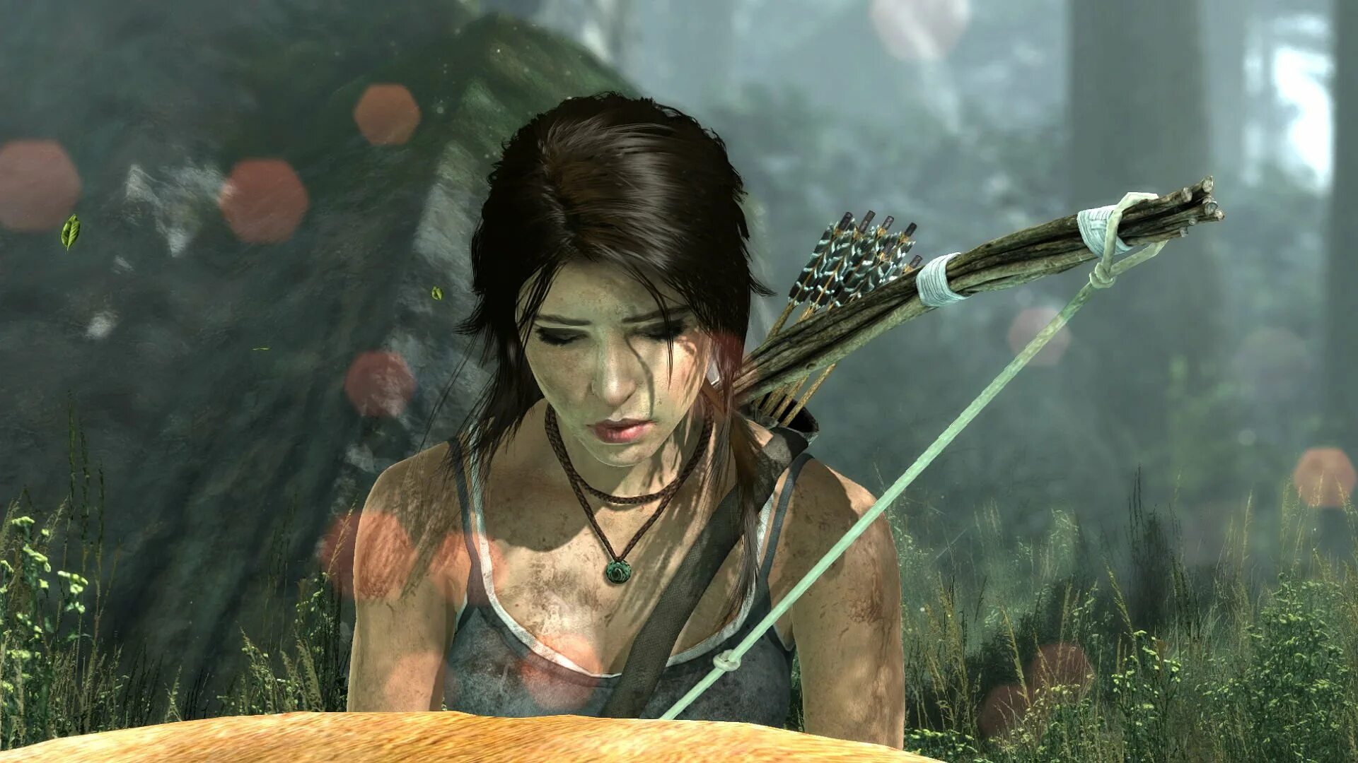 Tomb Raider 2013 ps3. Игры где девушек бьют
