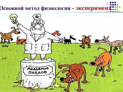 Для эксперимента по физиологии человека были выбраны