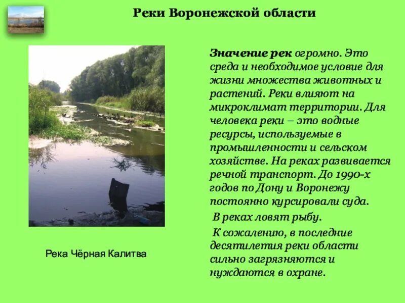 В чем высказывания писателя о реке воронеж. Реки Воронежской области. Доклад про реку Воронеж. Реки Воронежской области реки. Влияние человека на реку.