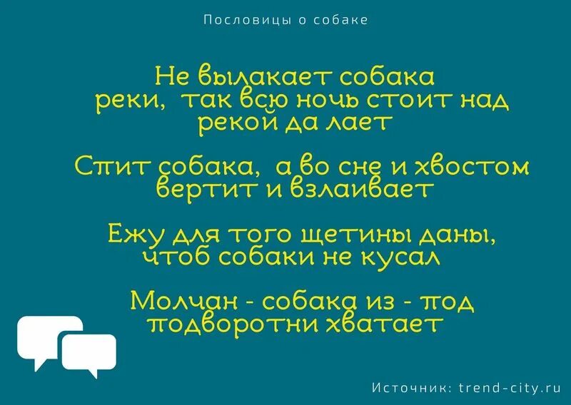 Поговорка про собак, собака лает. Поговорки про собак. Пословица пес лает. Пословицы про собак. Пословица пес лает.