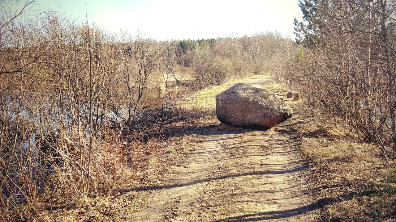 Камень надароге. Камень на дороге. Дорогие камни. Камень у дороги.