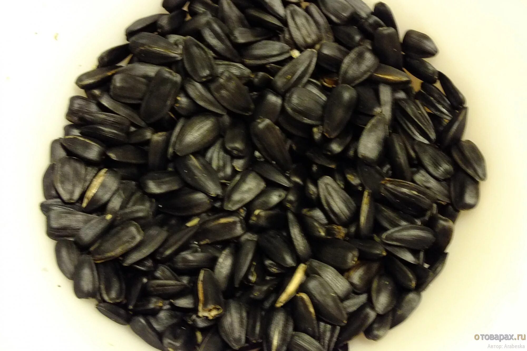 Семена тыквы польза. Можно ли давать ребенку семечки. При аллергии можно есть семечки. Тыквенные семечки калорийность. Аллергия на семя подсолнечника.