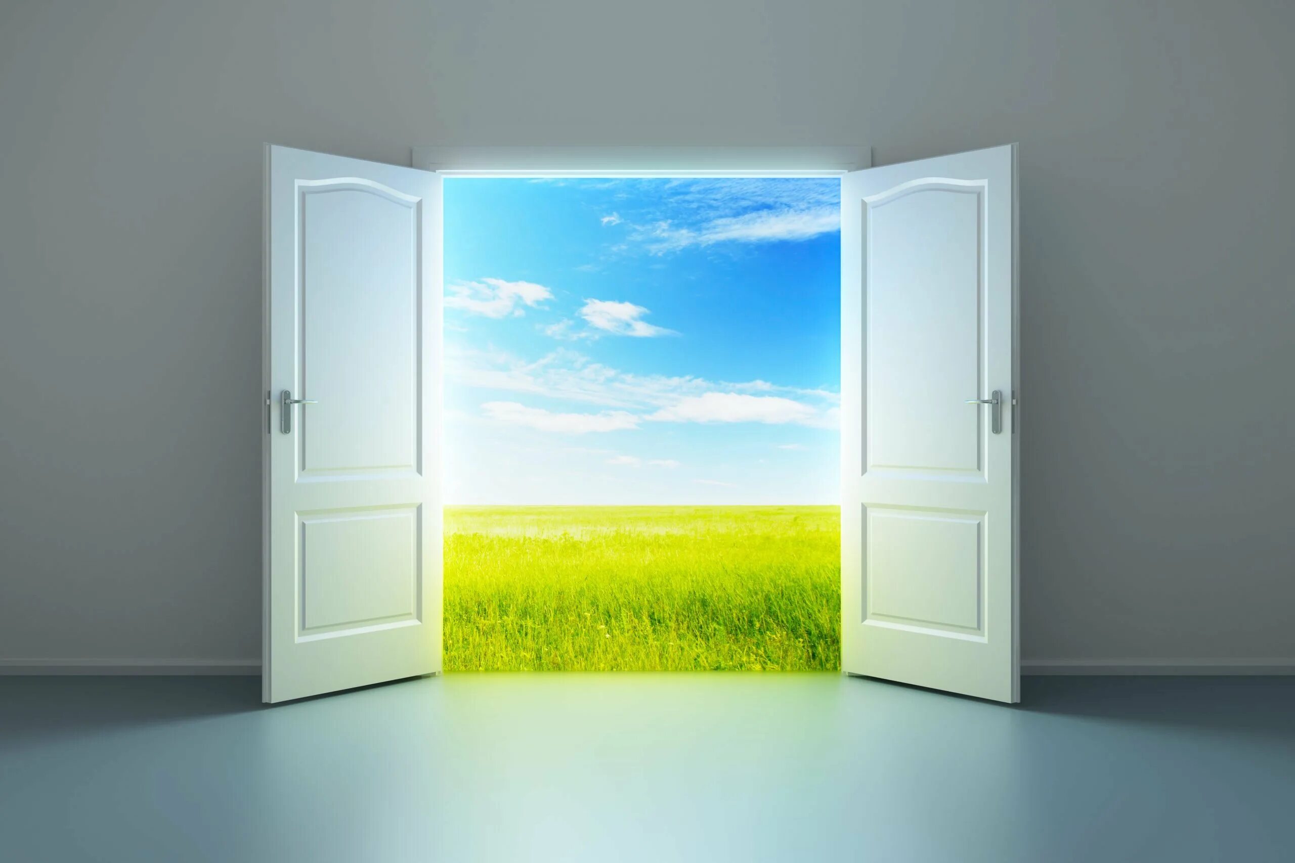Открытые двери. Дверь открывается. Дверь в природу. Дверь в будущее. Открытая дверь 2020