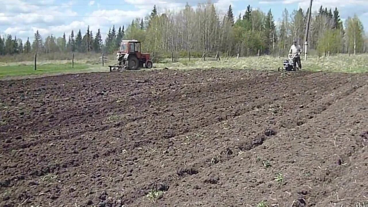Почва для посадки картофеля весной. Вспашка картофеля. Поле картошки Вспаханное. Подготовка участка для картошки. Подготовка почвы для картофеля.