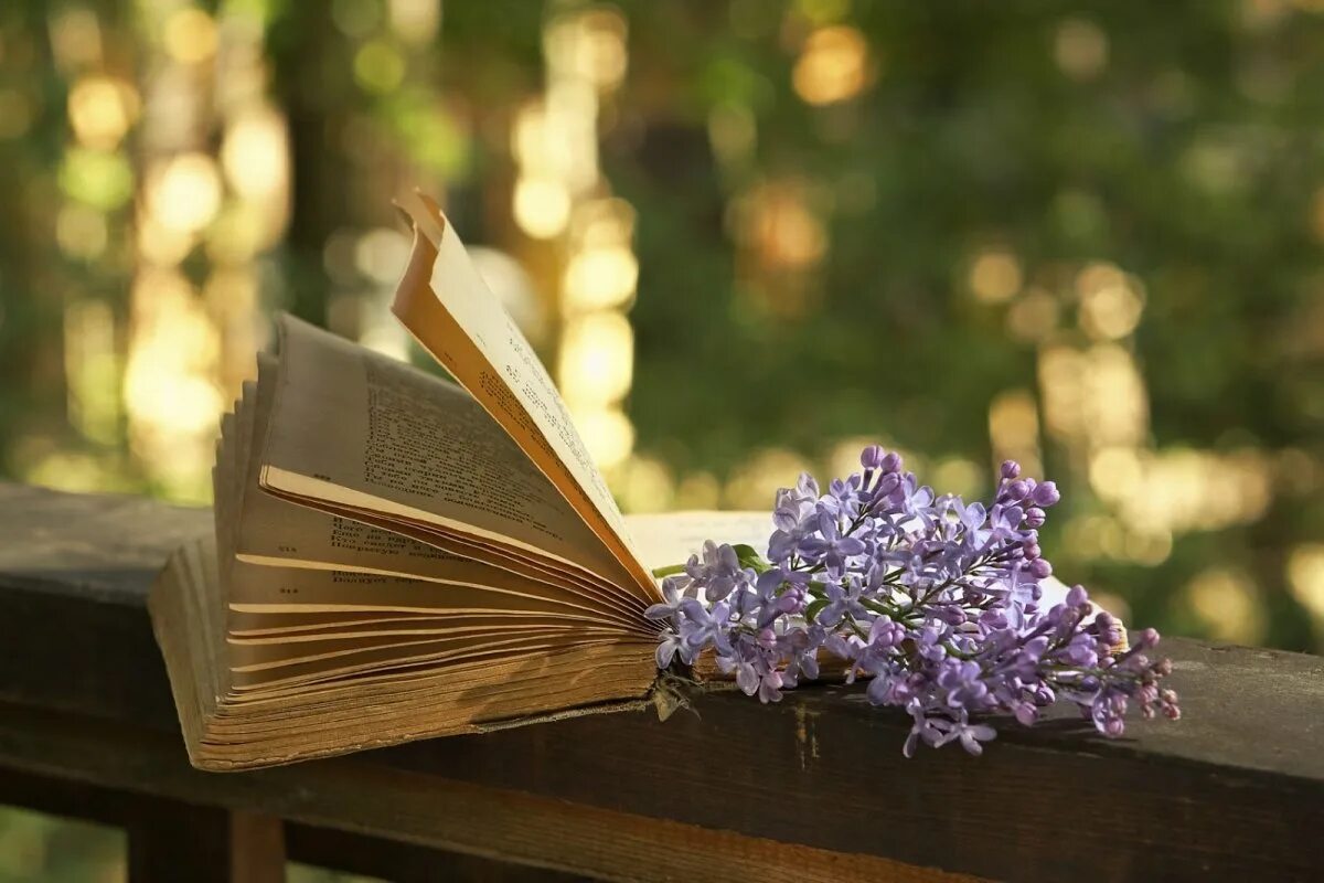 Весенний книжный букет. Книга цветы. Вдохновение поэзия. Вдохновение картинки. Поэзия картинки.